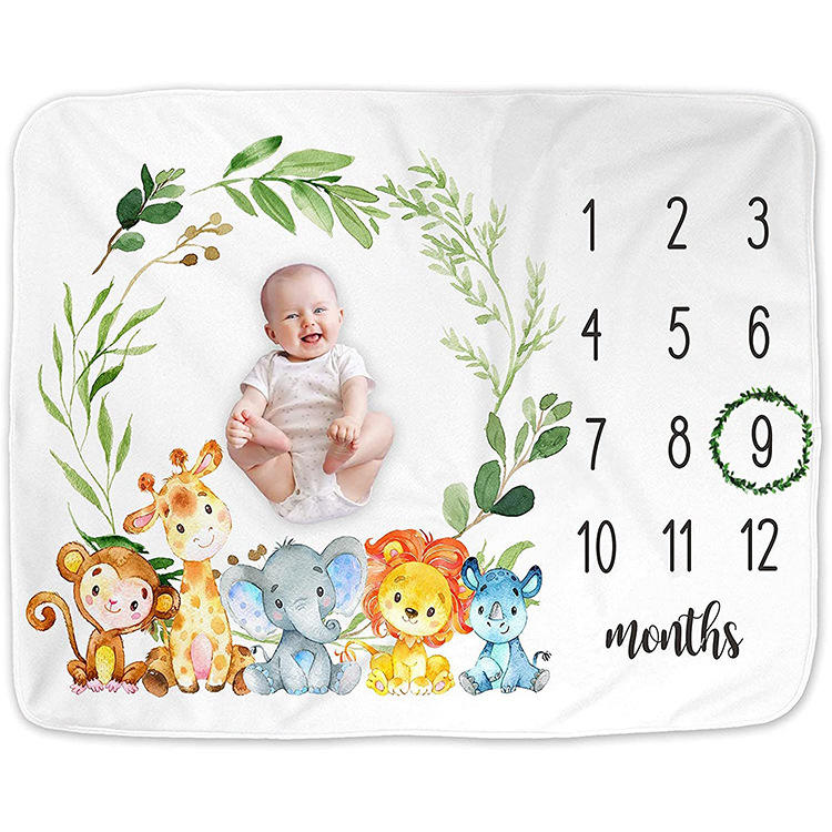 Flannel Milestone Blanket Baby Boy Girl Personalized Blanket Monthly